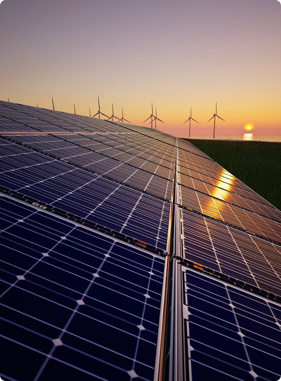 Champs de panneaux photovoltaïques